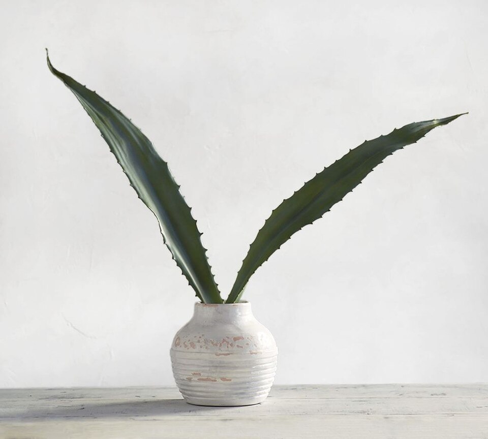 Faux Aloe Leaf Pottery Barn Australia